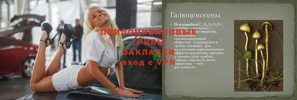 прущий лед Богородицк