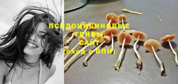 амфетамин Богородск