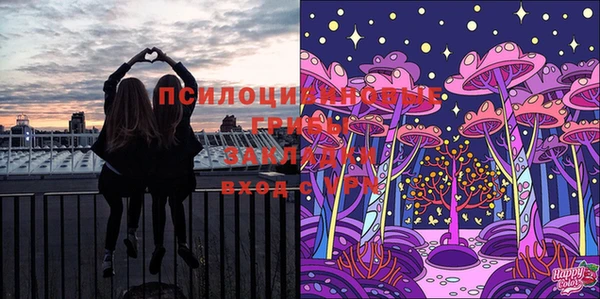 прущий лед Богородицк